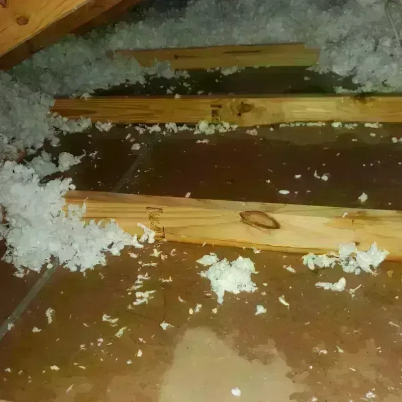 Attic Water Damage in Jay, OK