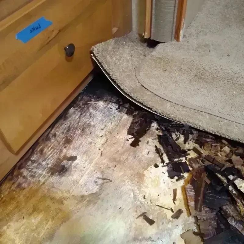 Wood Floor Water Damage in Jay, OK